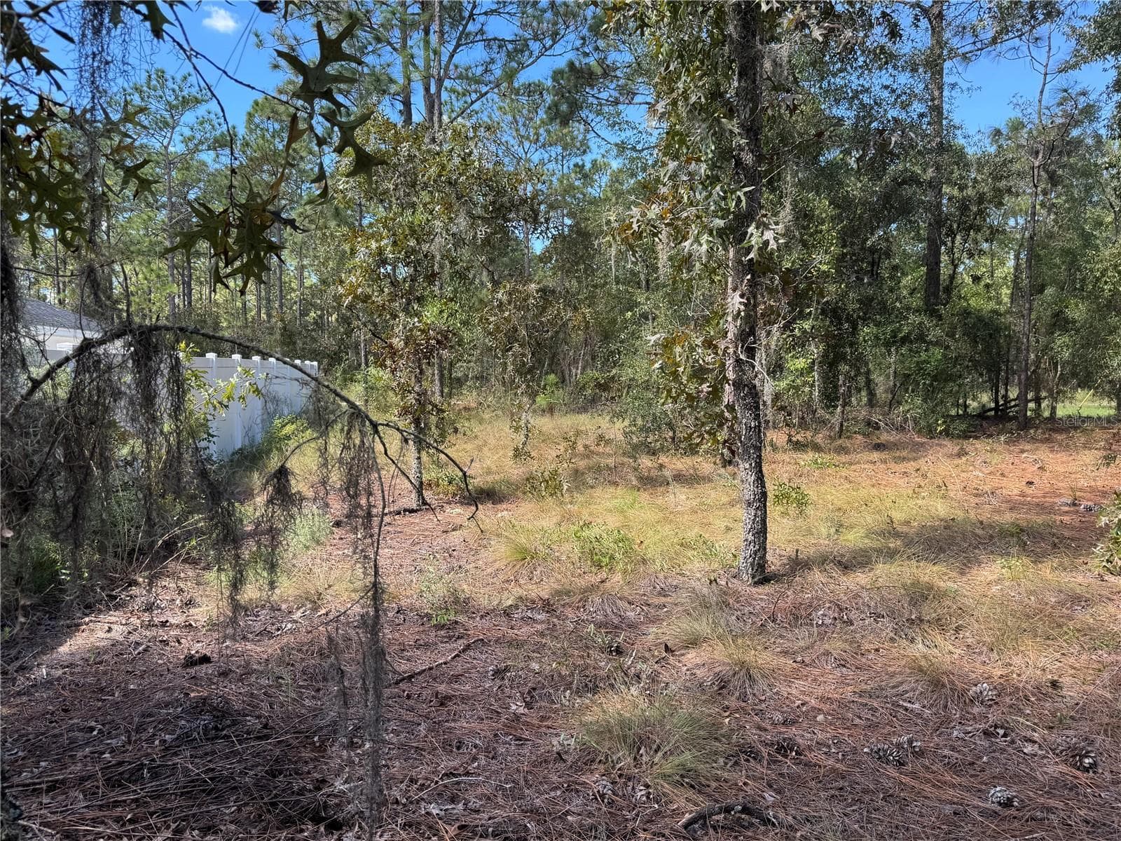 LOT 21 LOOKING FROM NE REAR OF .24 ACRE LOT ALONG THE SOUTHSIDE BOUNDARY TO THE ROAD (WESTSIDE OF LOT (SOUTHSIDE OF LOT), IS NEIGHBORING PROPERTY. TO THE RIGHT IS 2615 SW 15TH CT HOME FOR SALE ALSO. BOTH PROPERTIES CAN BE SOLD TOGETHER OR SEPARATE - Lot 21 SW 157TH CT, OCALA