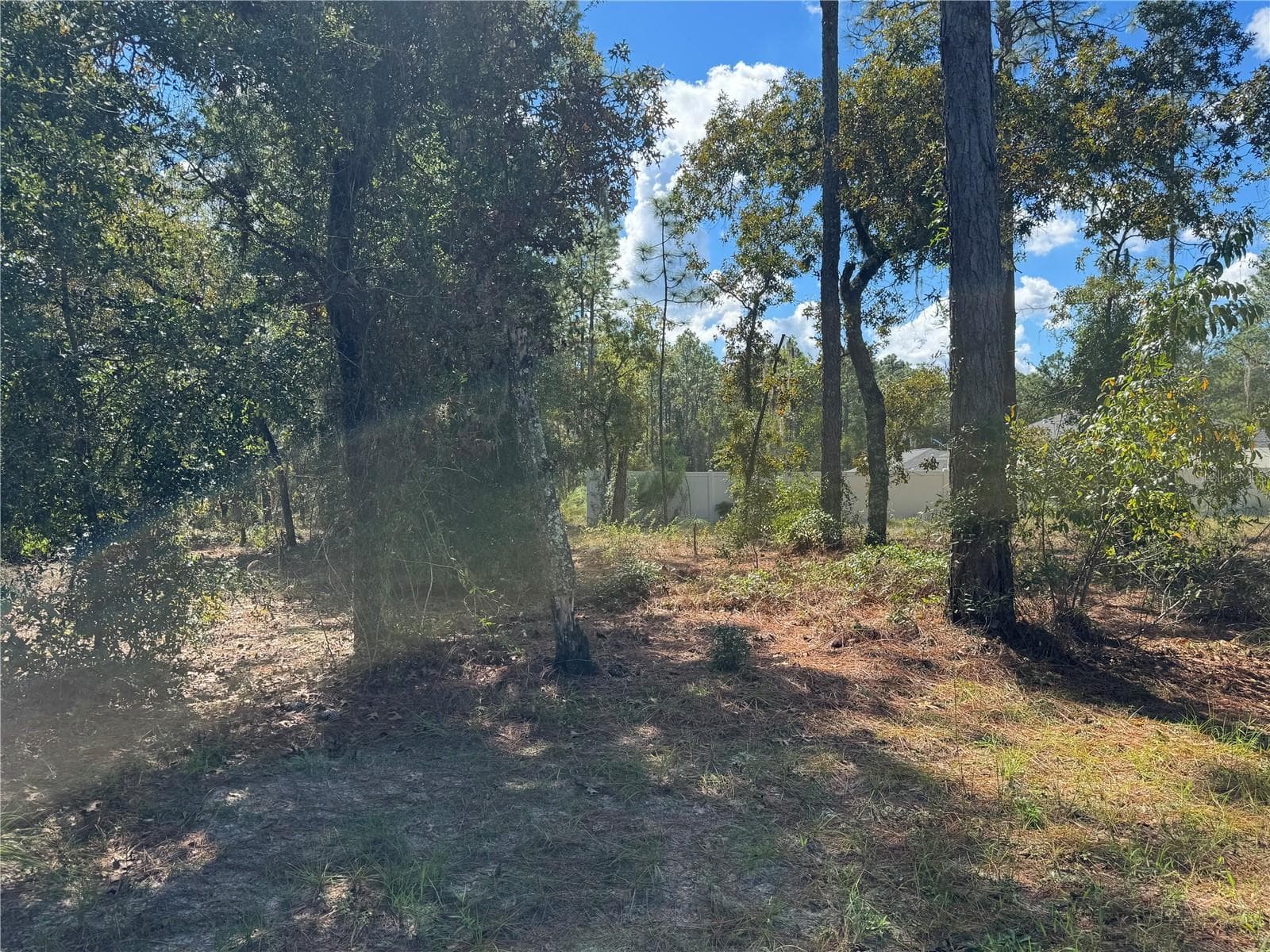 FROM NE CORNER LOOKING TO SE CORNER AT REAR OF LOT 21 - Lot 21 SW 157TH CT, OCALA