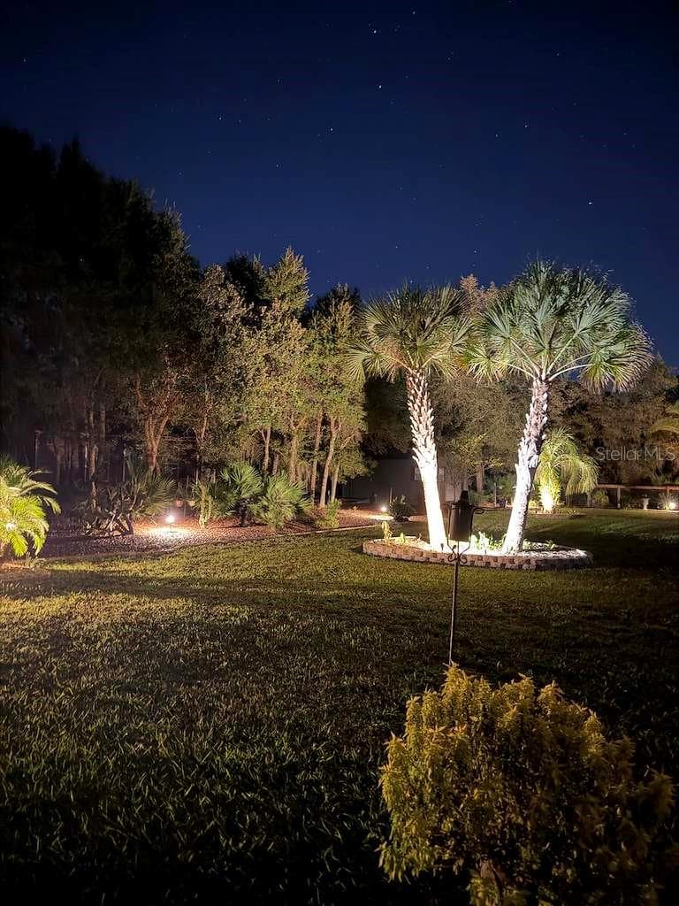 Night Landscape - 42626 ROYAL TRAILS RD, EUSTIS
