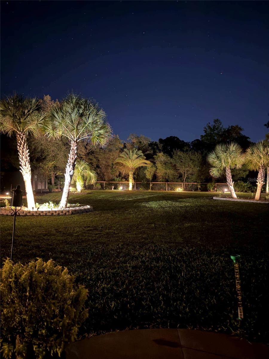 Night Landscape - 42626 ROYAL TRAILS RD, EUSTIS