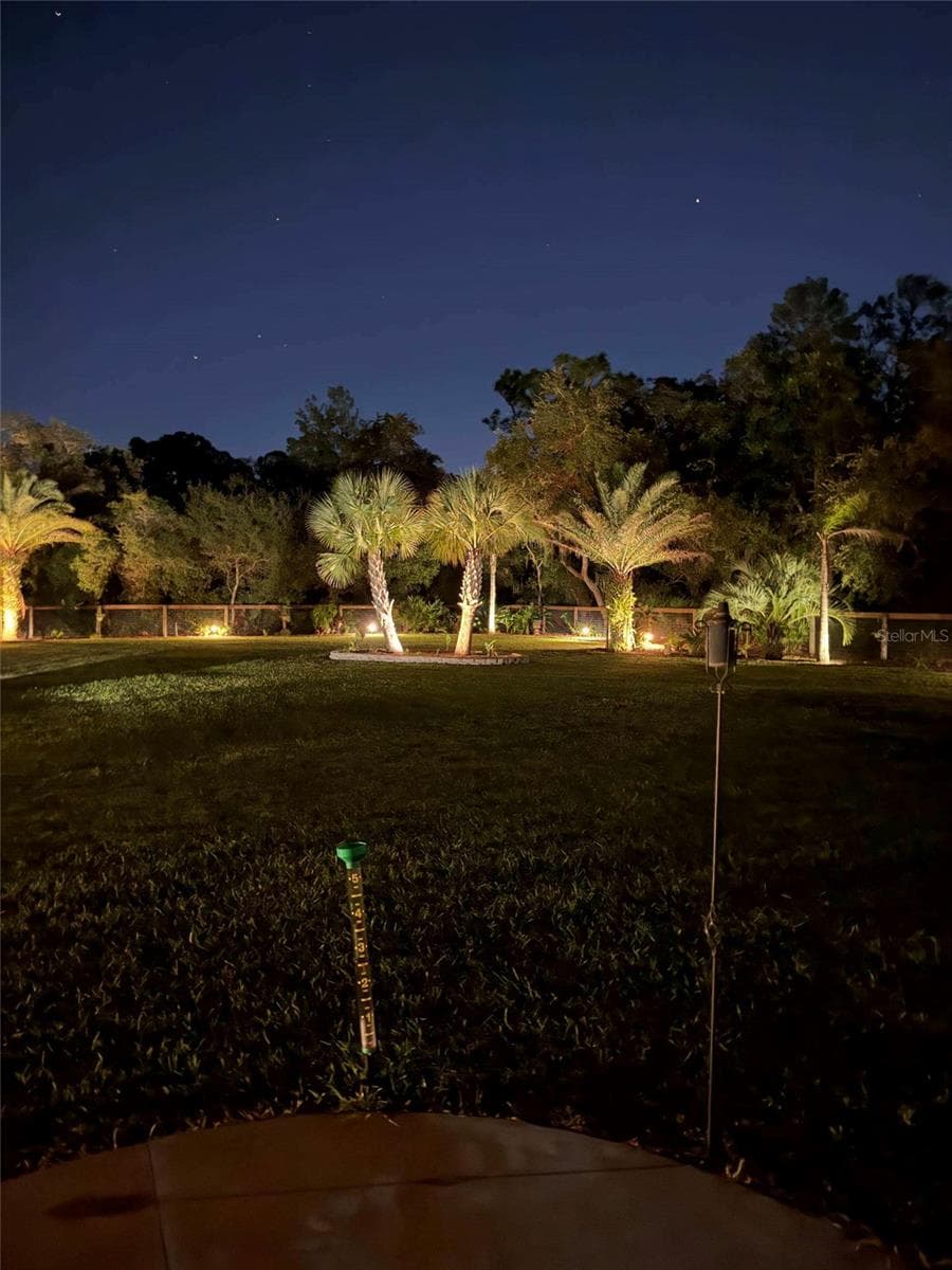 Night Landscape - 42626 ROYAL TRAILS RD, EUSTIS