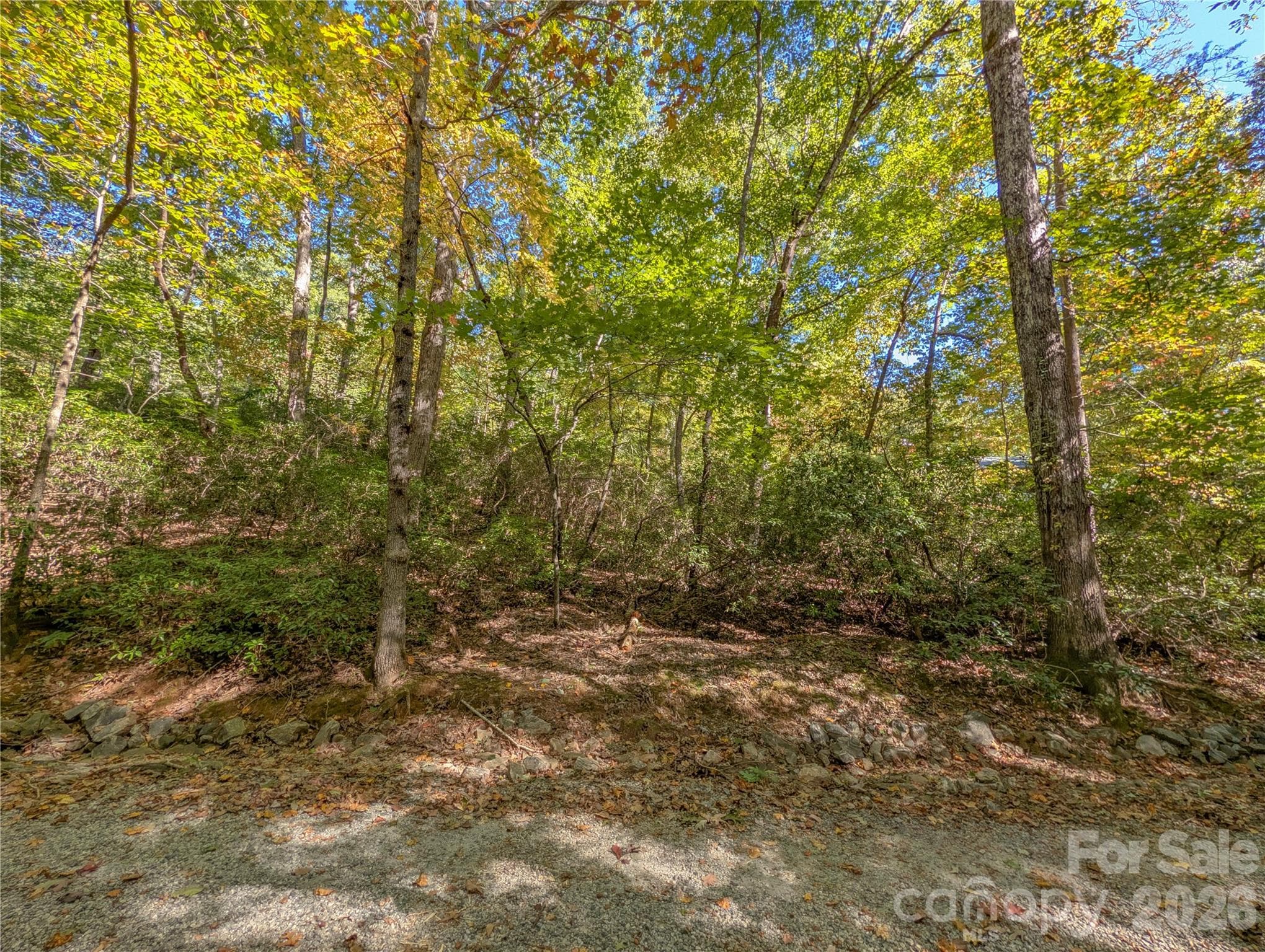 Ready for your vision - 0 E Wilderness Road, Lake Lure