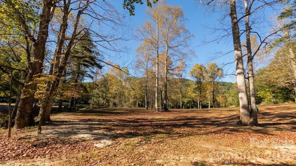 Great dog walking area - 0 E Wilderness Road, Lake Lure