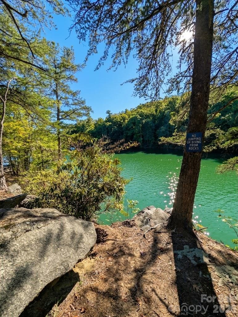 Private lake - 0 E Wilderness Road, Lake Lure