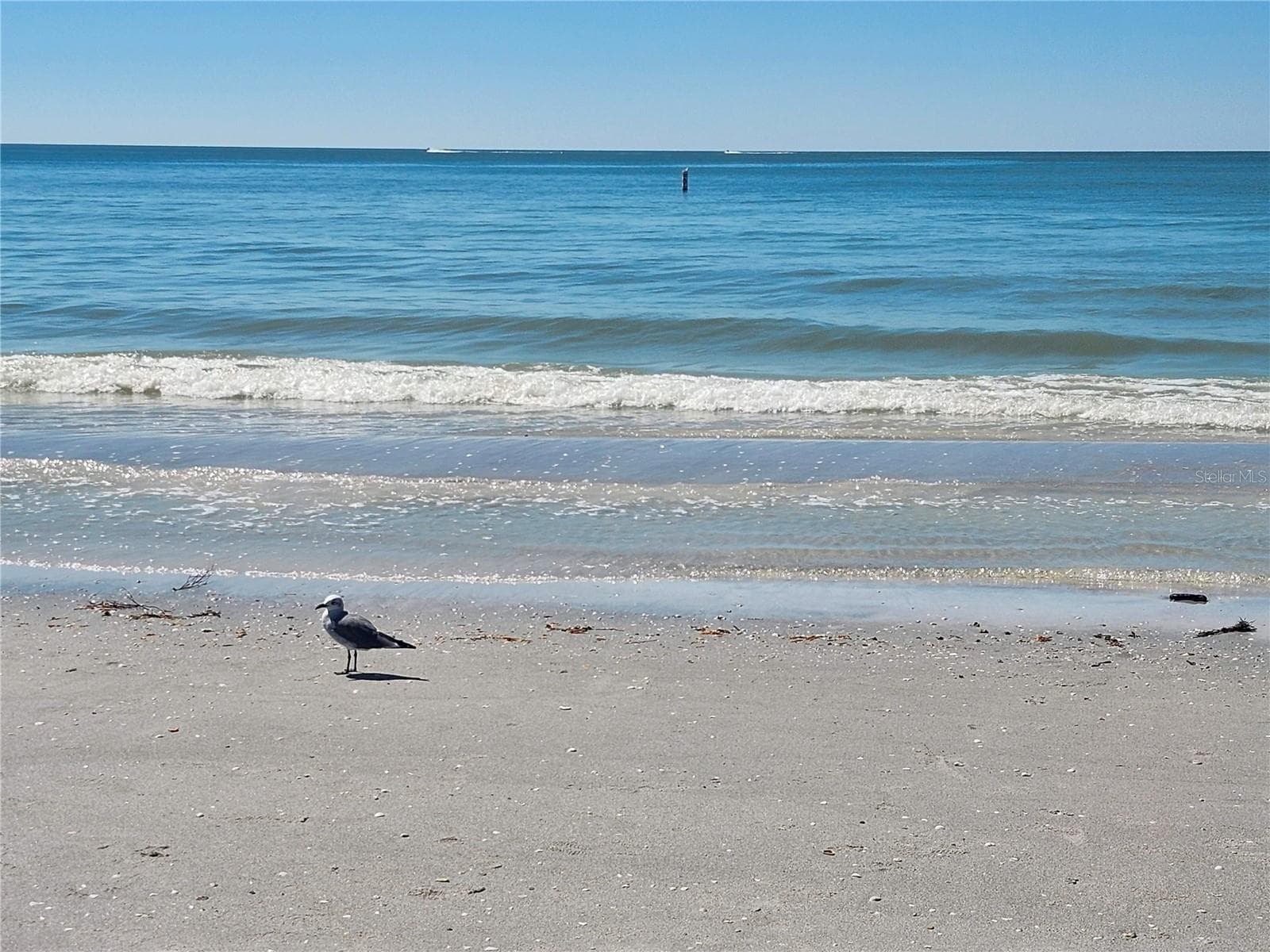 Beautiful Indian Rocks Beach - 11201 80TH AVE #201, SEMINOLE
