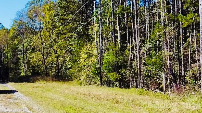 Wooded - TBD Jesse Safrit Road, Salisbury