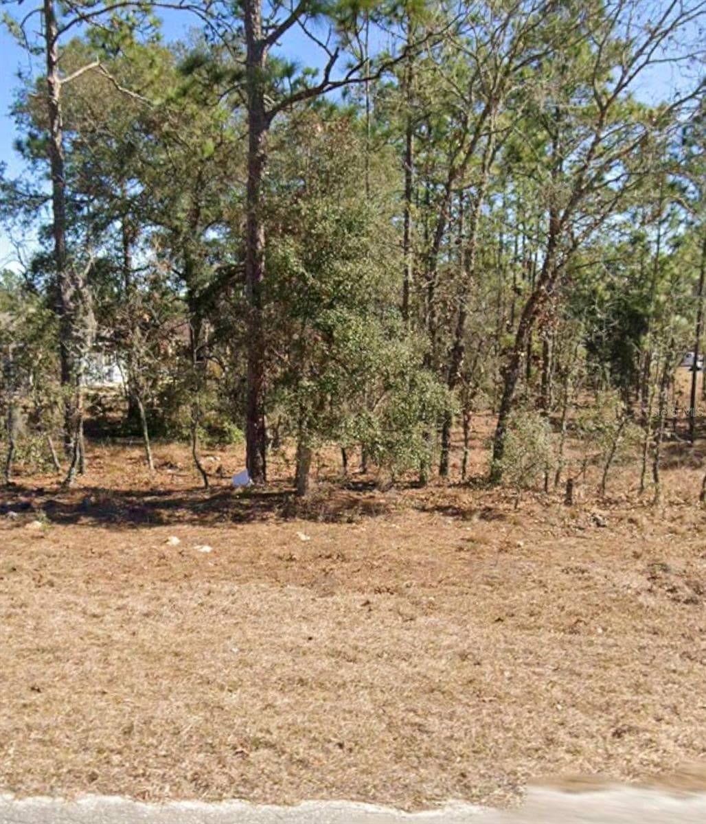 Land at NE 150TH AVE, WILLISTON, photo 4 of 6