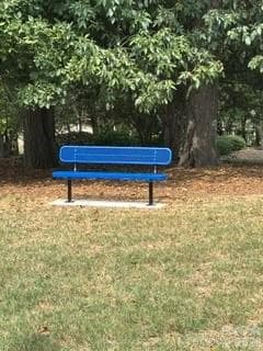 New Greenspace Benches Scattered among the Common Green Space Areas - 15404 Crossing Gate Drive, Cornelius