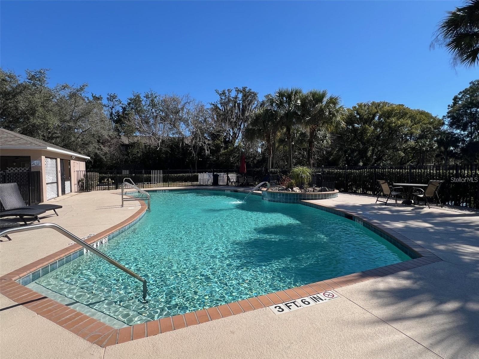 Community Pool - 2949 ASHFORD PARK PL, OVIEDO