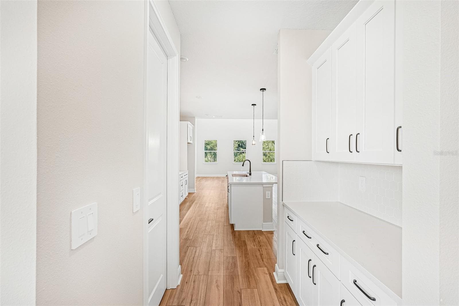 Single Family Residence at 9927 HIDDEN HAMMOCK LOOP, PARRISH, photo 12 of 54