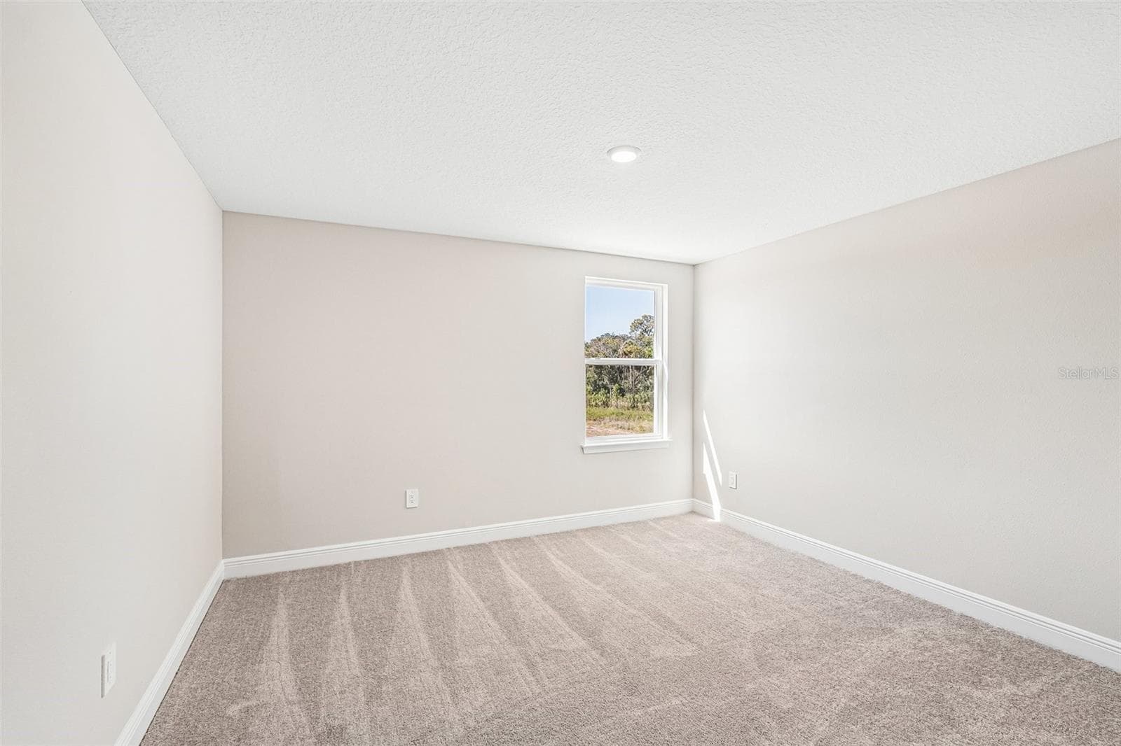 Single Family Residence at 9927 HIDDEN HAMMOCK LOOP, PARRISH, photo 34 of 54