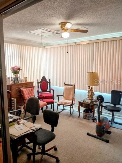 Rear bonus room - 1010 W FAITH CIR #20, BRADENTON