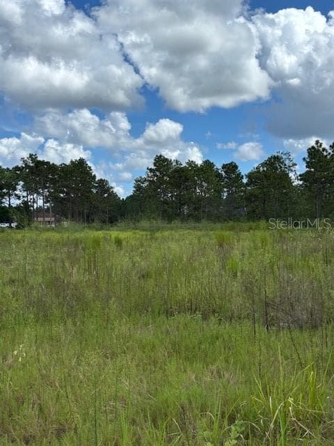Mid-Back View - BABBITT AVE, ORLANDO