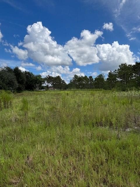Mid View of Property - BABBITT AVE, ORLANDO