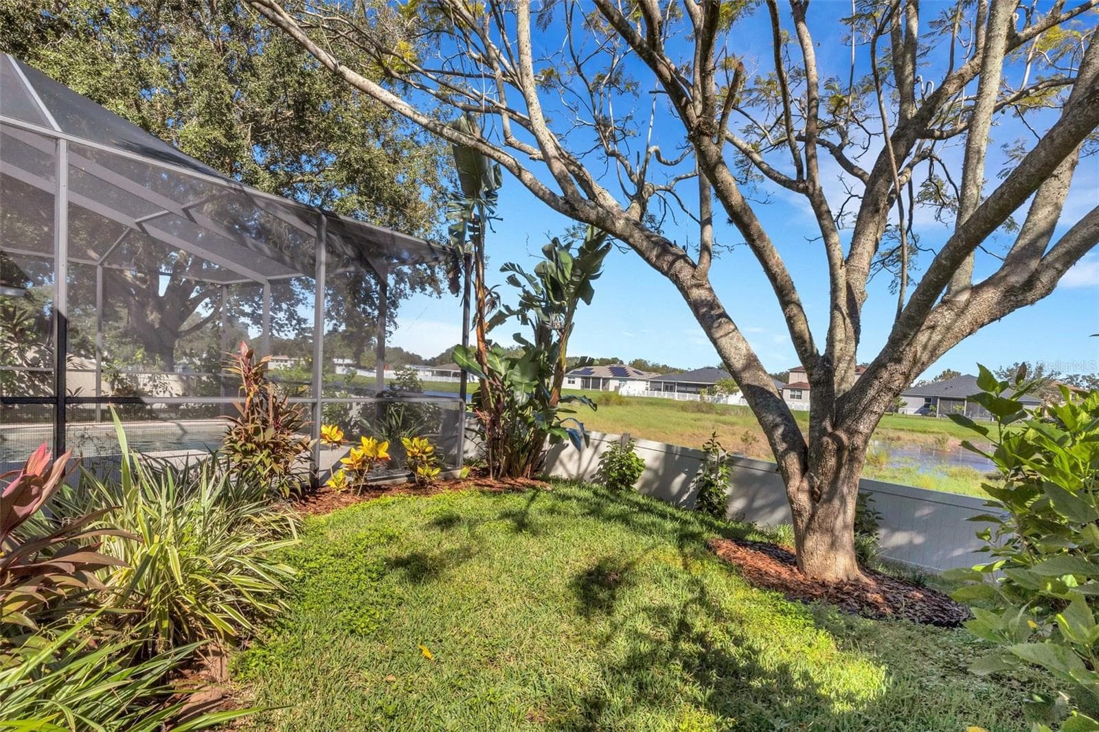Backyard Overlooking Peaceful Wetlands - No Rear Neighbors! - 11126 GOLDENROD FERN DR, RIVERVIEW