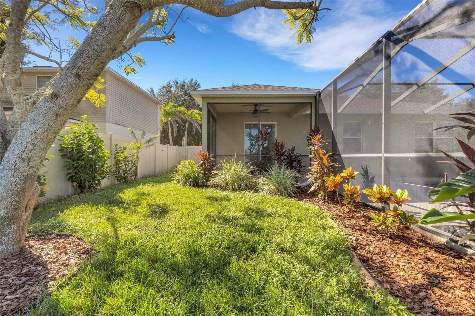 Backyard Along Side of Pool & Pool Cage - 11126 GOLDENROD FERN DR, RIVERVIEW