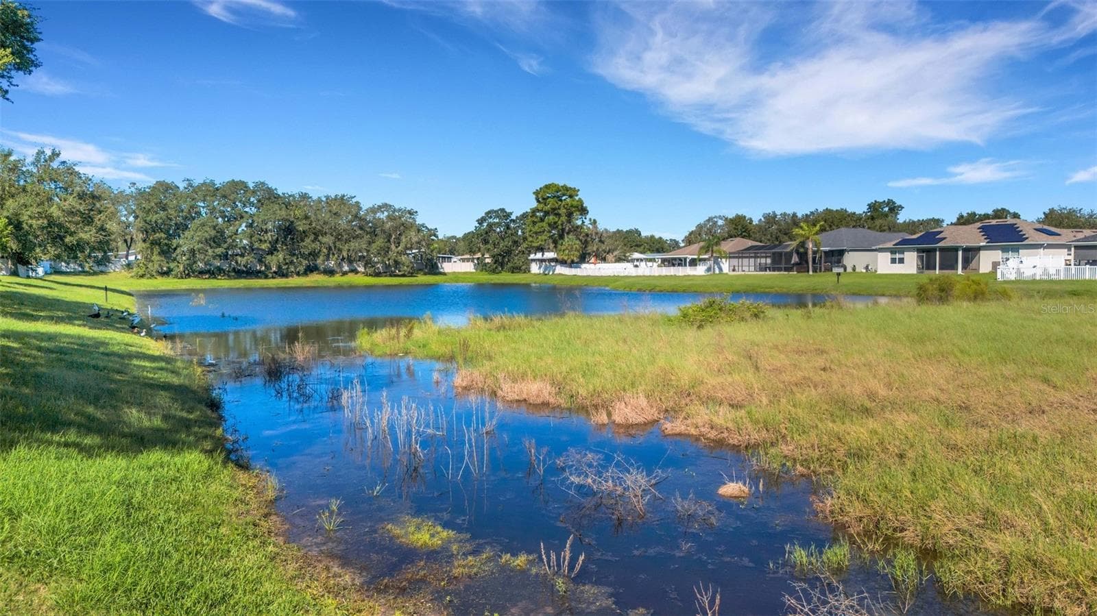 Scenic Wetlands Easement - 11126 GOLDENROD FERN DR, RIVERVIEW