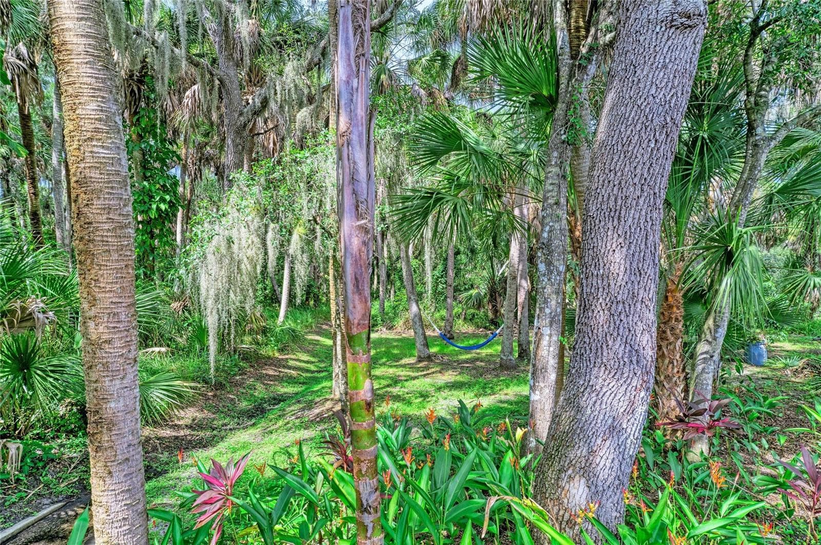 Watch the wildlife... birds, bunnies, turtles, etc. - 2403 ARBORETUM CIR #29, SARASOTA