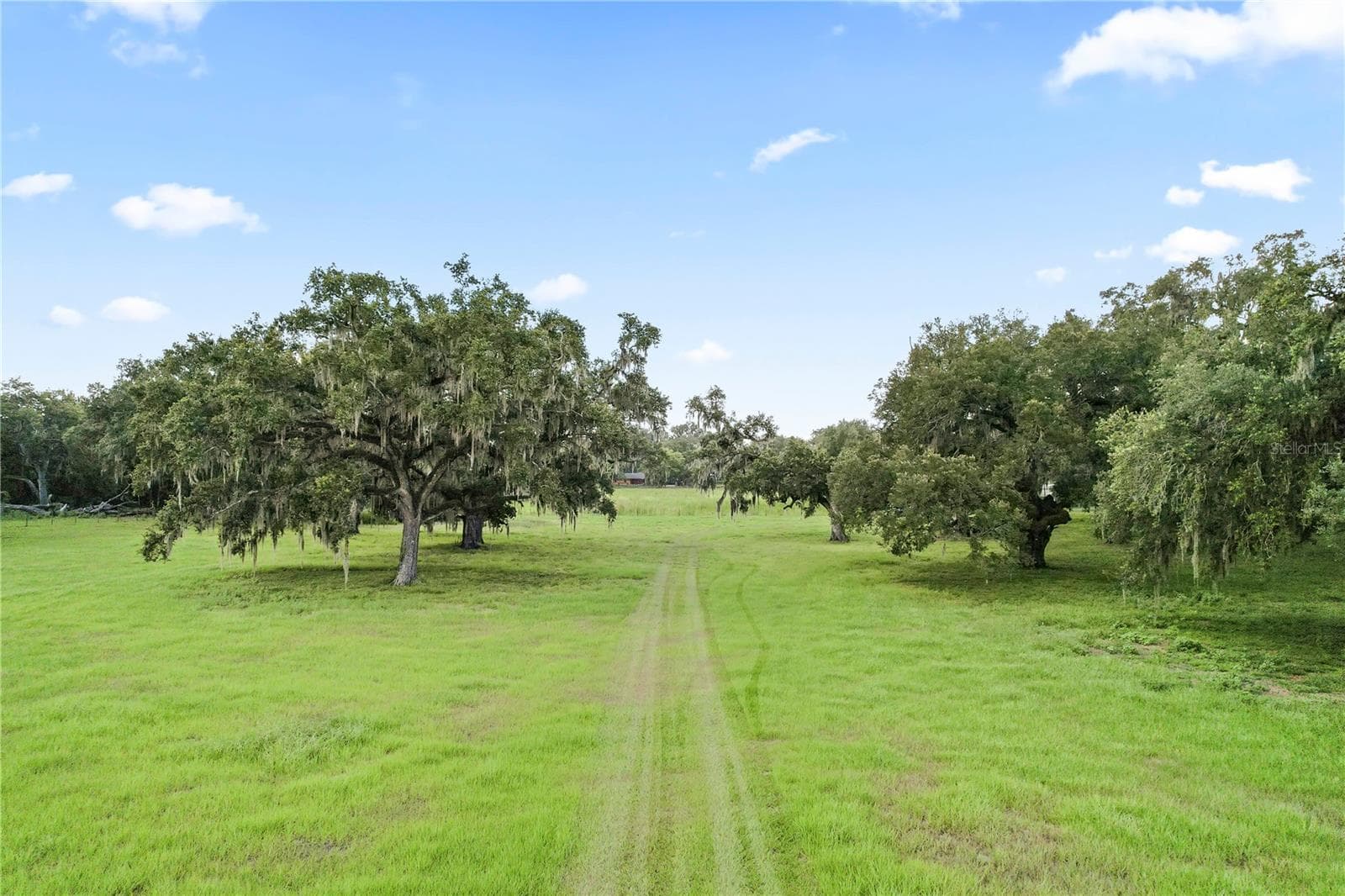 Land at 37952 CRYSTAL WAY, DADE CITY, photo 3 of 32