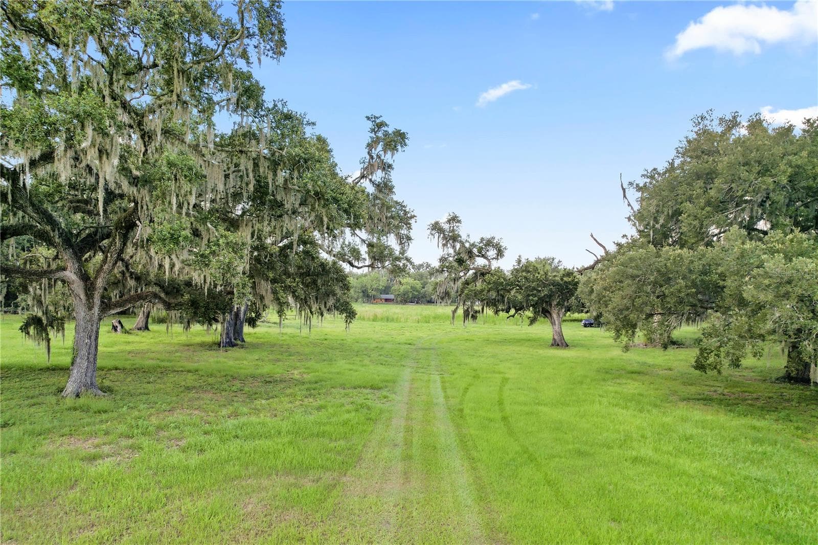 Land at 37952 CRYSTAL WAY, DADE CITY, photo 4 of 32