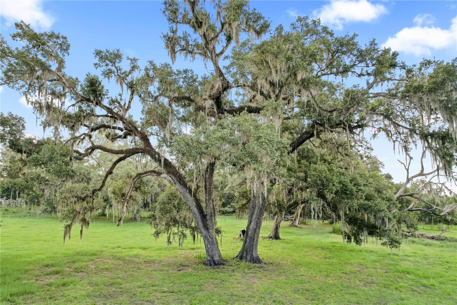Land at 37952 CRYSTAL WAY, DADE CITY, photo 5 of 32