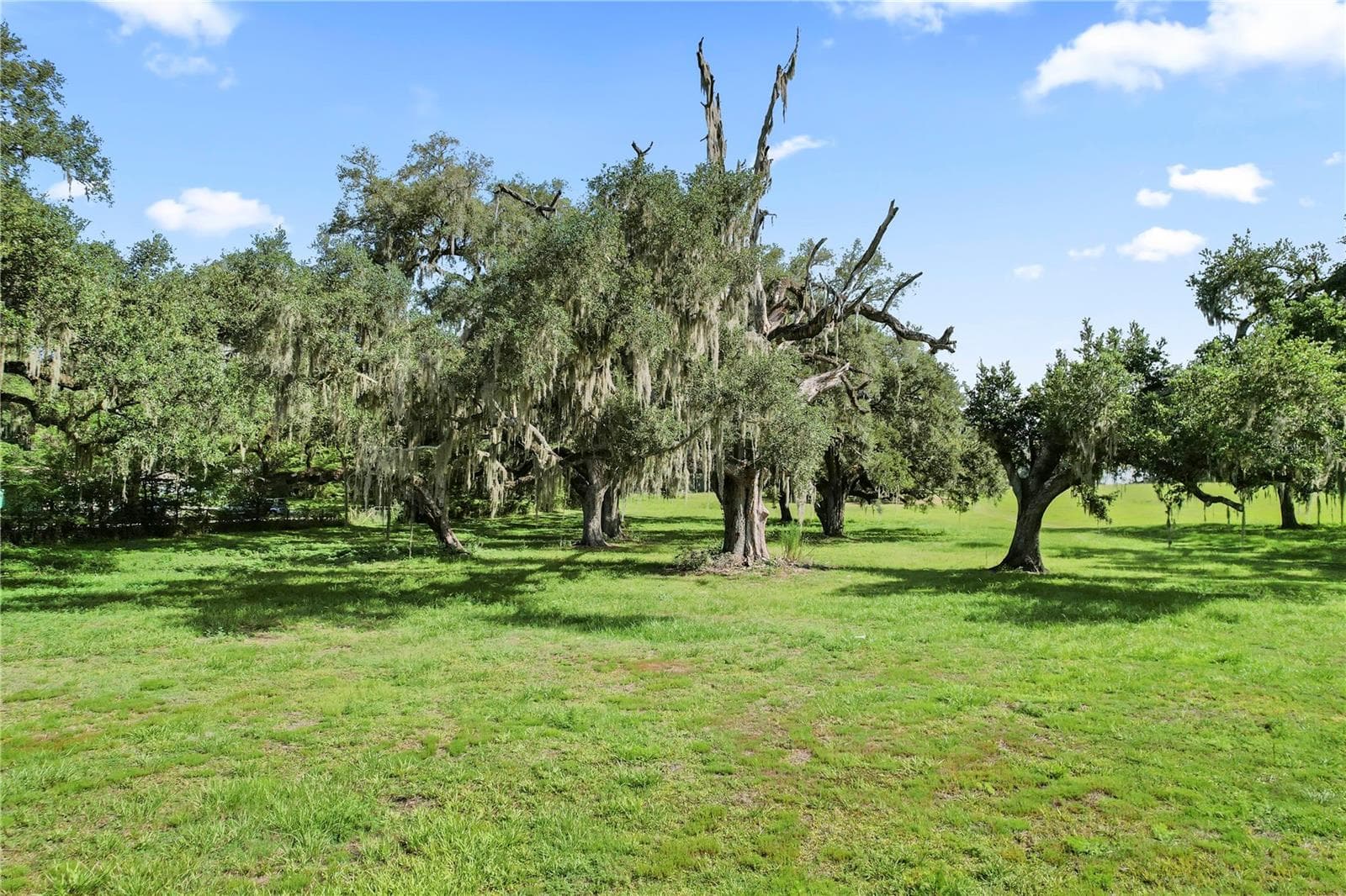 Land at 37952 CRYSTAL WAY, DADE CITY, photo 6 of 32