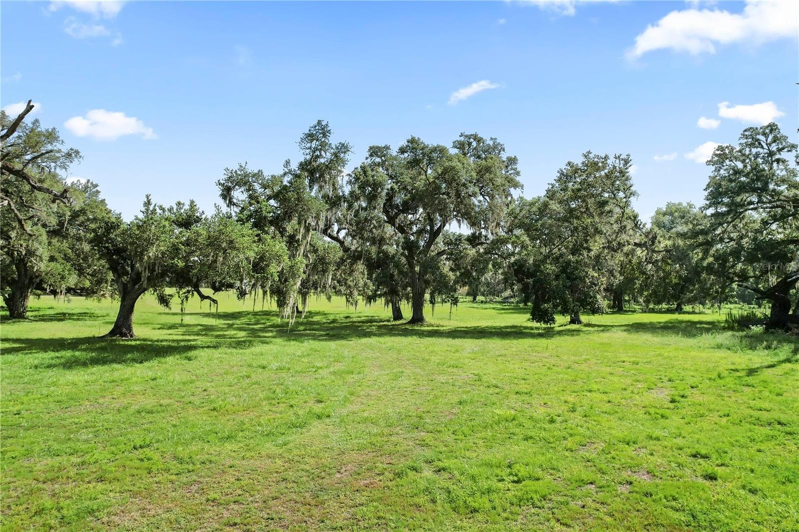 Land at 37952 CRYSTAL WAY, DADE CITY, photo 7 of 32