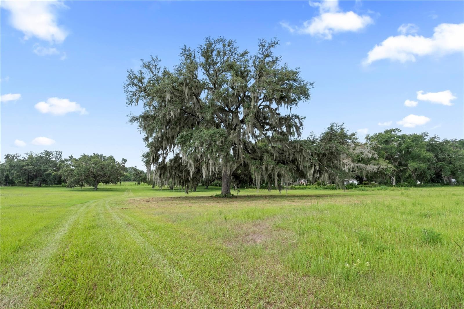 Land at 37952 CRYSTAL WAY, DADE CITY, photo 32 of 32