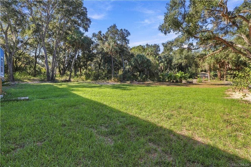 YOUR OWN OUTDOOR RETREAT! Beautiful green space surrounded by mature shade trees & natural Florida vegetation. Bring your outdoor toys & enjoy the possibilities of 1.42 acres! - 7528 N CHABAUD TER, CRYSTAL RIVER