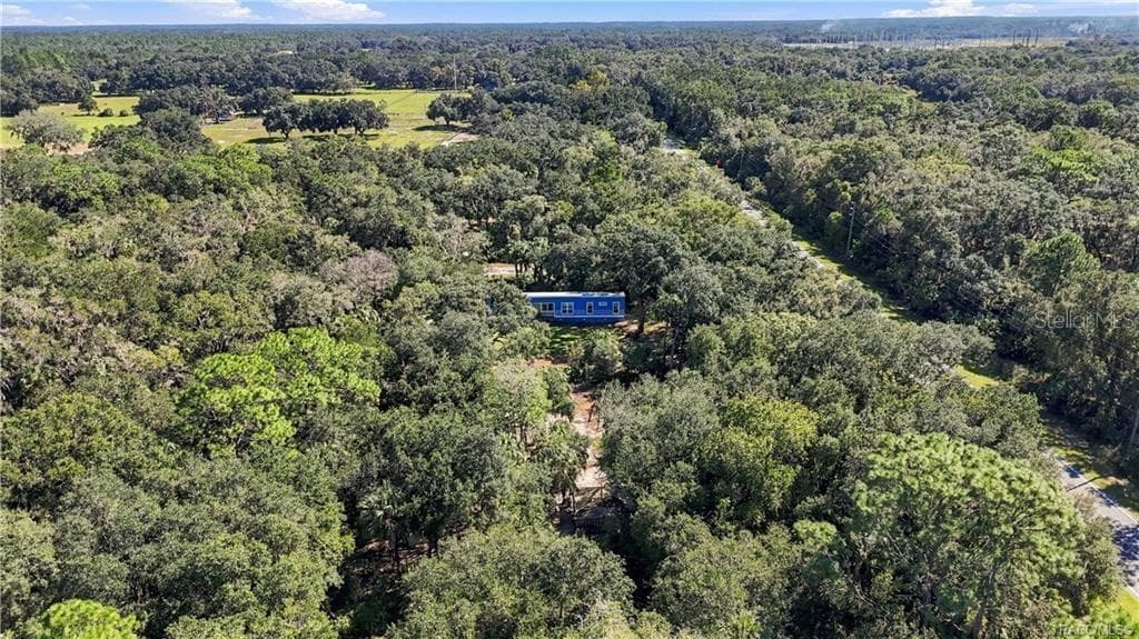 FLORIDA'S NATURAL BEAUTY! Another stunning aerial perspective showcases the surrounding tree canopy, lush vegetation & peaceful, wooded setting. - 7528 N CHABAUD TER, CRYSTAL RIVER