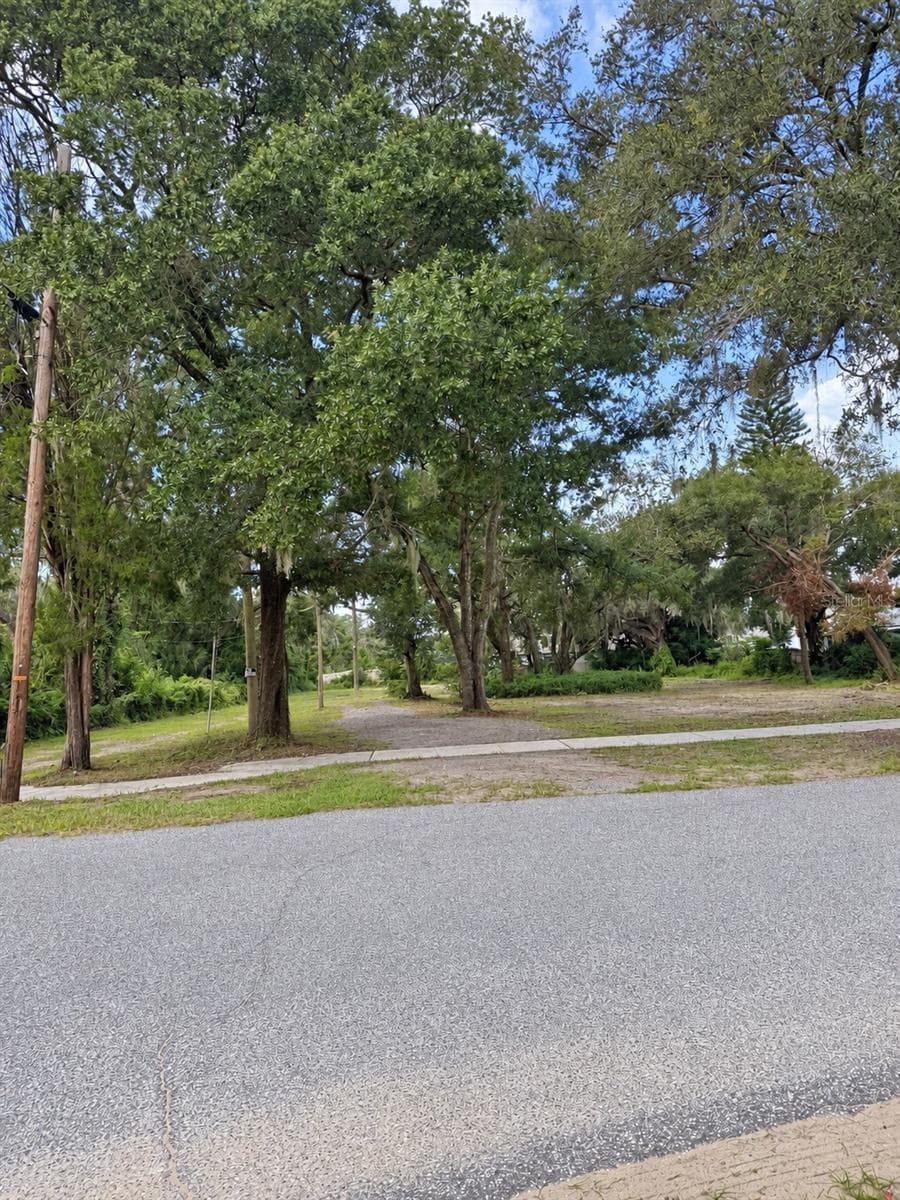 Land at 9703 CARR RD, RIVERVIEW, photo 4 of 4