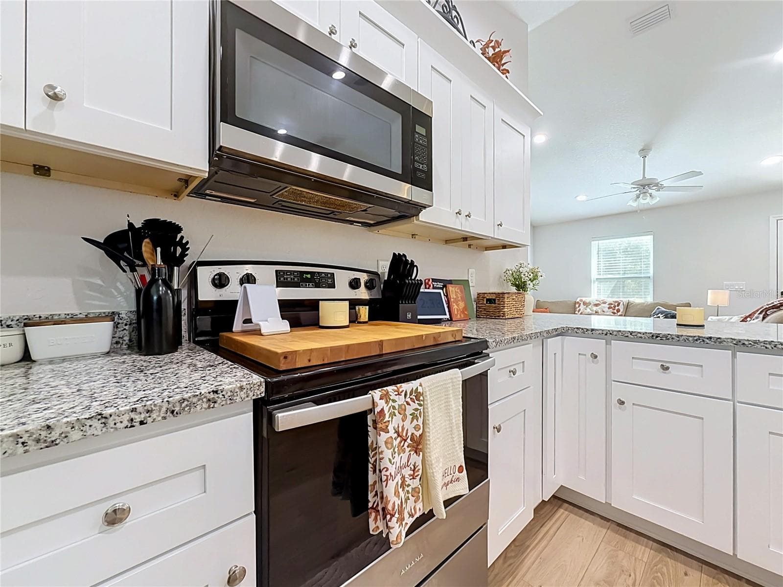 Single Family Residence at 22787 SW BEACH BLVD, DUNNELLON, photo 13 of 56
