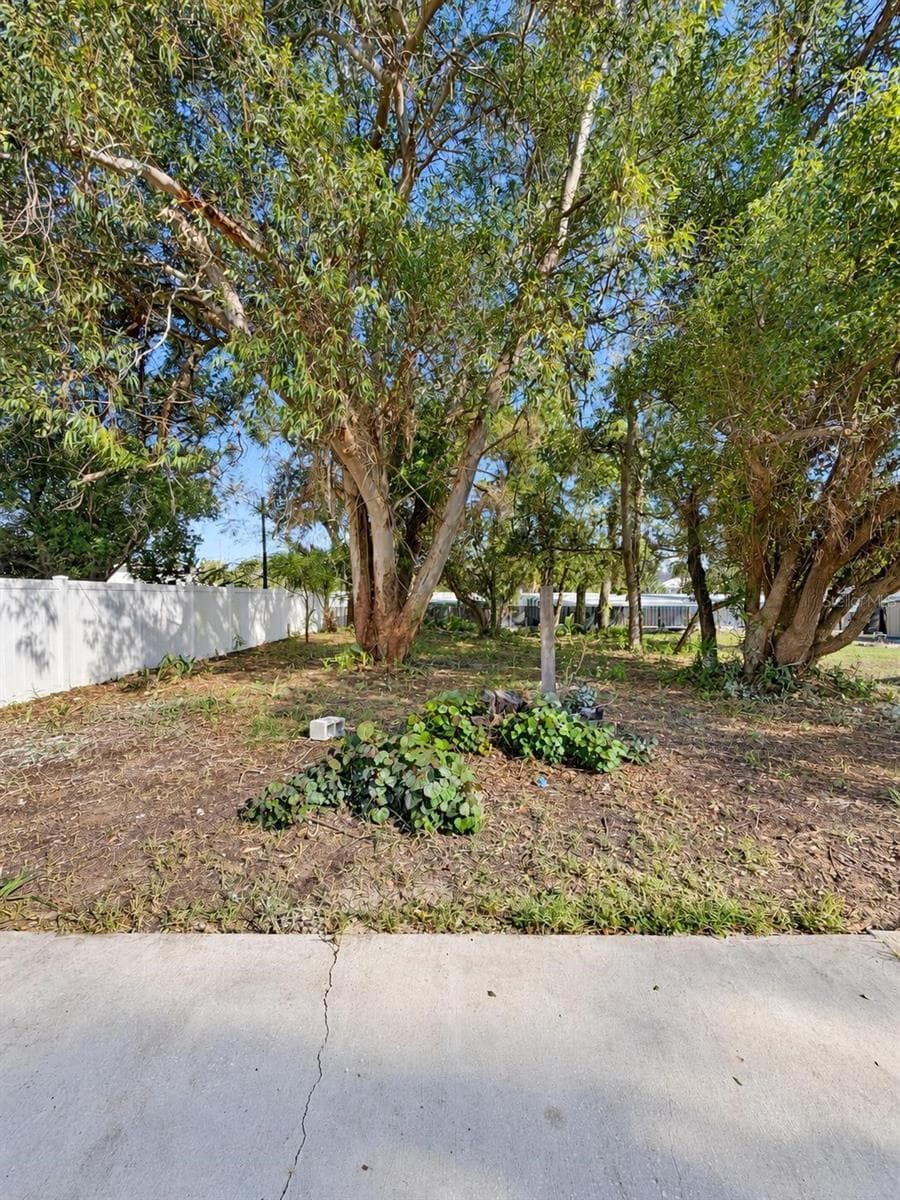 backyard - 523 E BOYER ST, TARPON SPRINGS