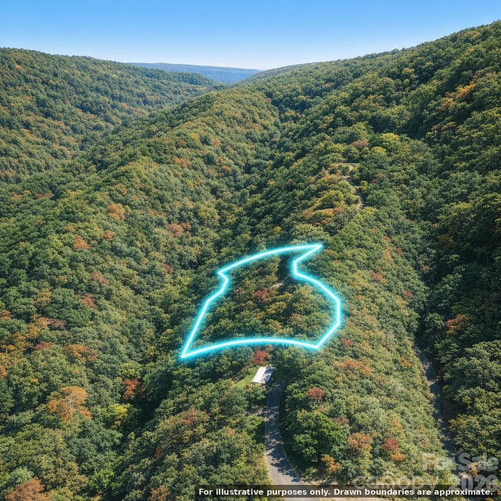 Lot at 00 Laurel Branch Drive, Chimney Rock, photo 3 of 16