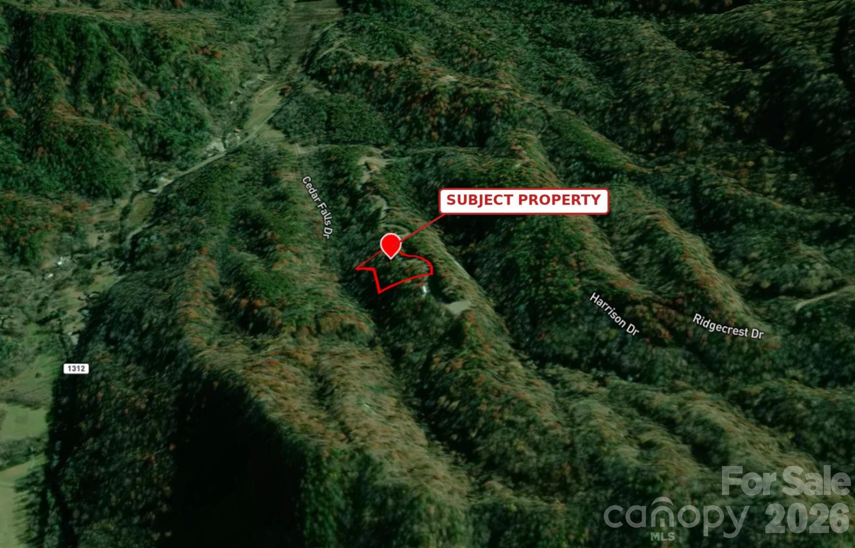 Lot at 00 Laurel Branch Drive, Chimney Rock, photo 9 of 16