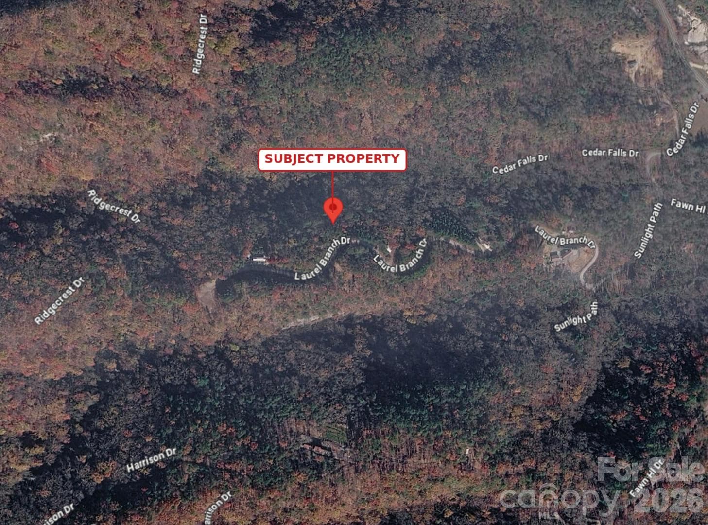 Lot at 00 Laurel Branch Drive, Chimney Rock, photo 10 of 16