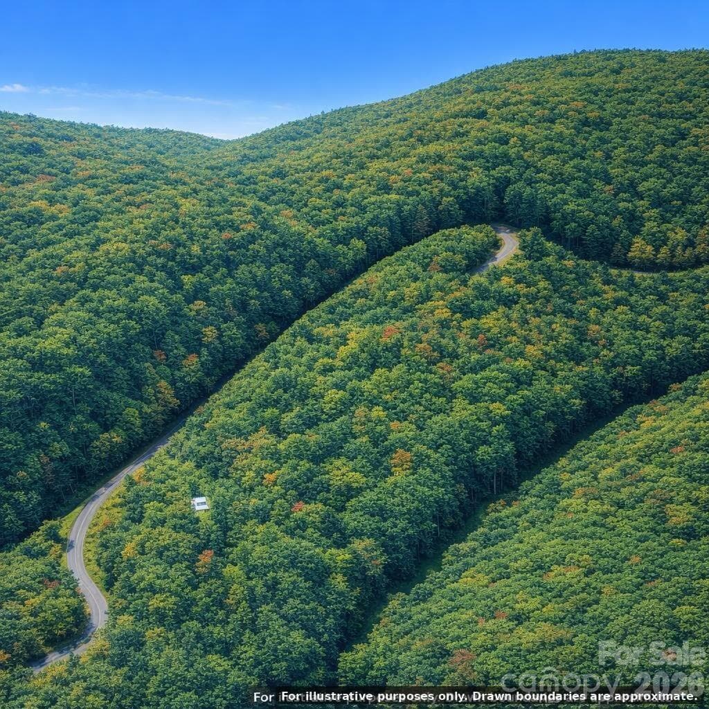 Lot at 00 Laurel Branch Drive, Chimney Rock, photo 11 of 16