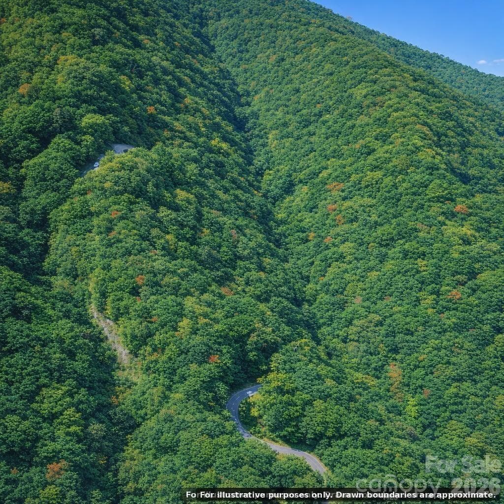 Lot at 00 Laurel Branch Drive, Chimney Rock, photo 13 of 16