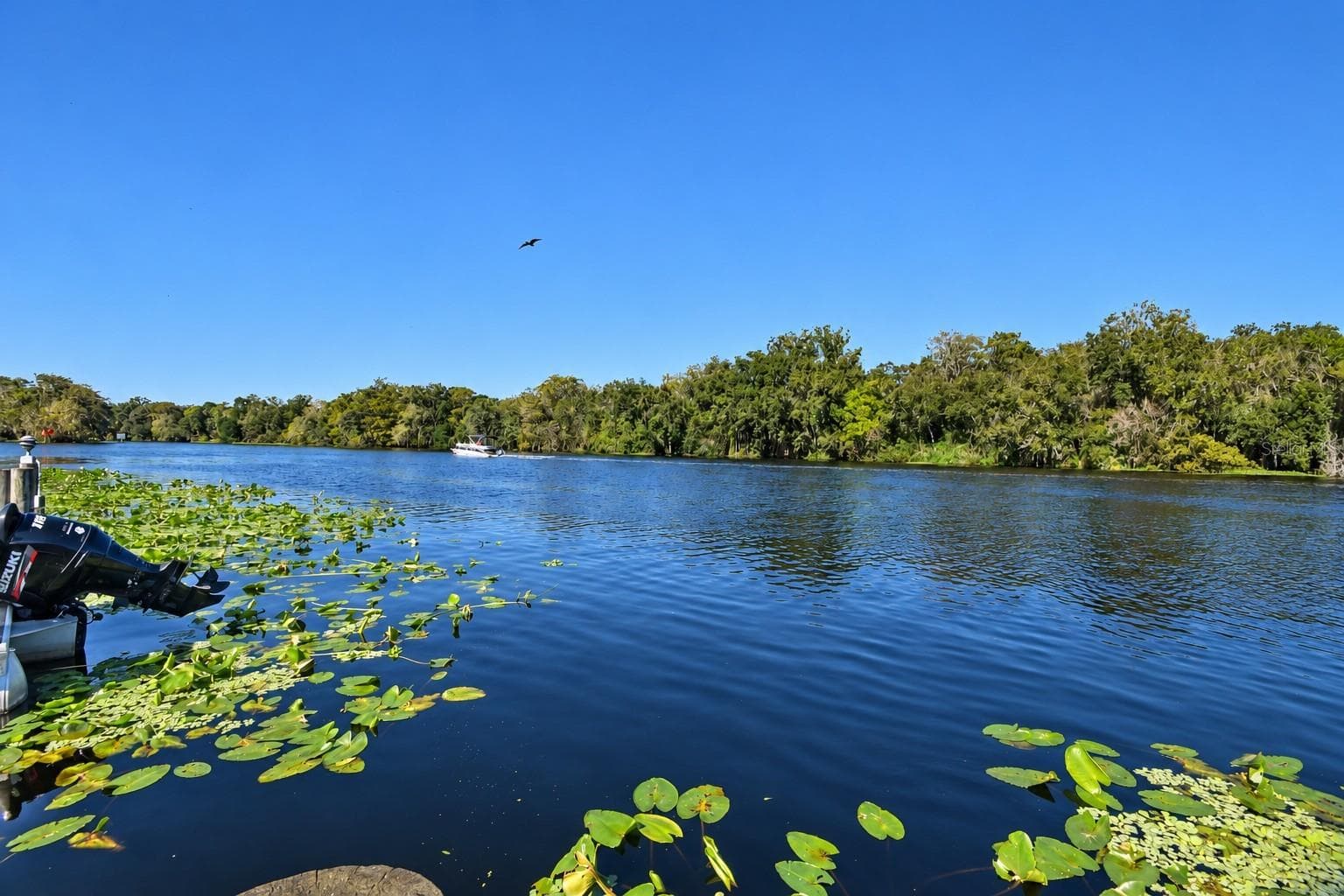 River - 2329 RIVER RIDGE RD #13, DELAND