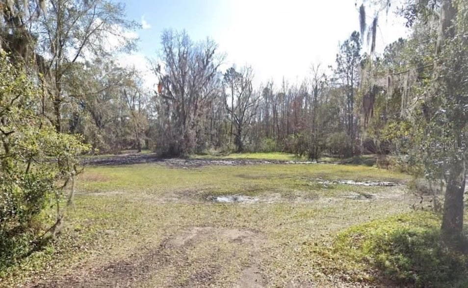 Land at 1988 NW 223RD ST, LAWTEY, photo 6 of 6