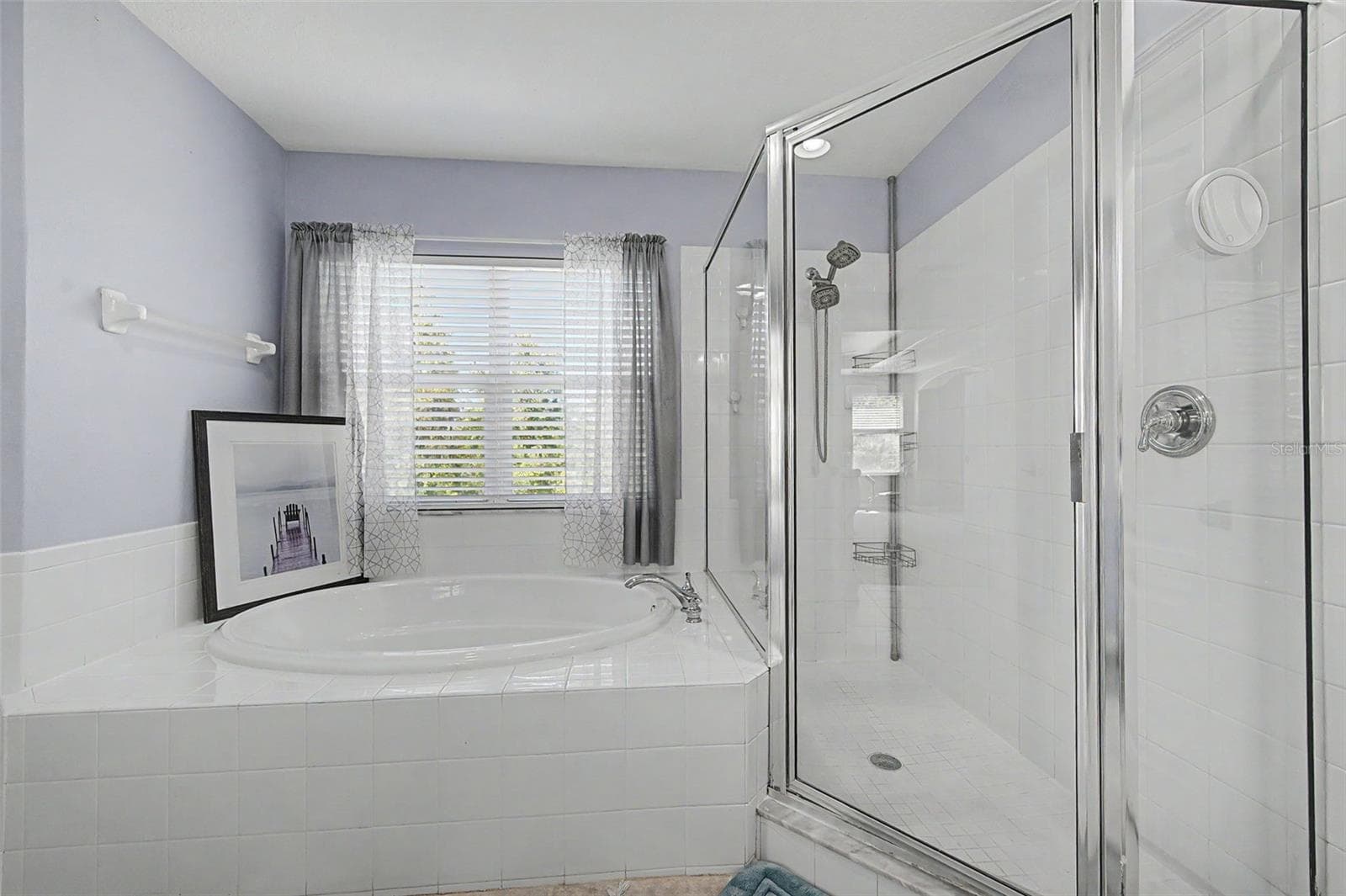 Primary Bathroom Shower & Jacuzzi - 19266 FISHERMANS BEND DR, LUTZ
