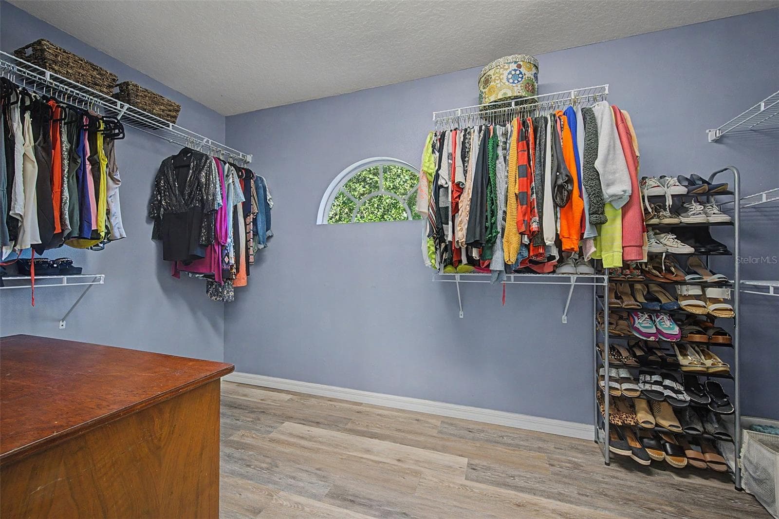 Walk-In Closet 1 - 19266 FISHERMANS BEND DR, LUTZ
