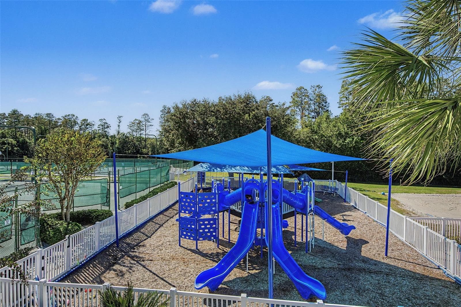Playground - 19266 FISHERMANS BEND DR, LUTZ