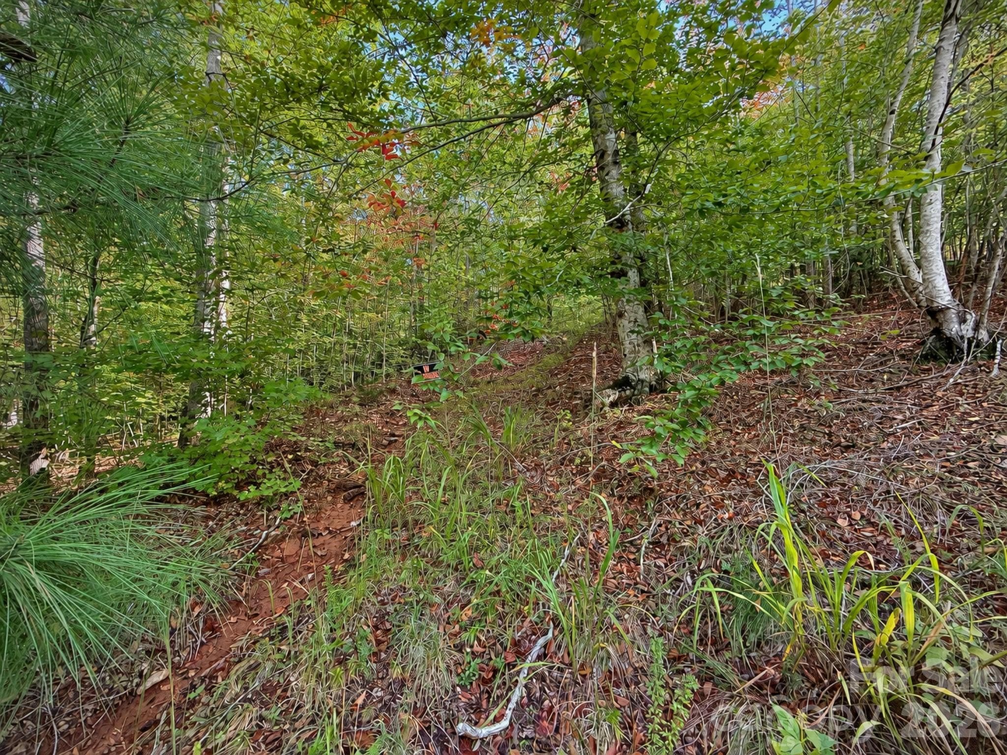 Lot 64. 248 Front Ridge Circle. Located in Green River Highlands. - 248 Front Ridge Circle, Rutherfordton