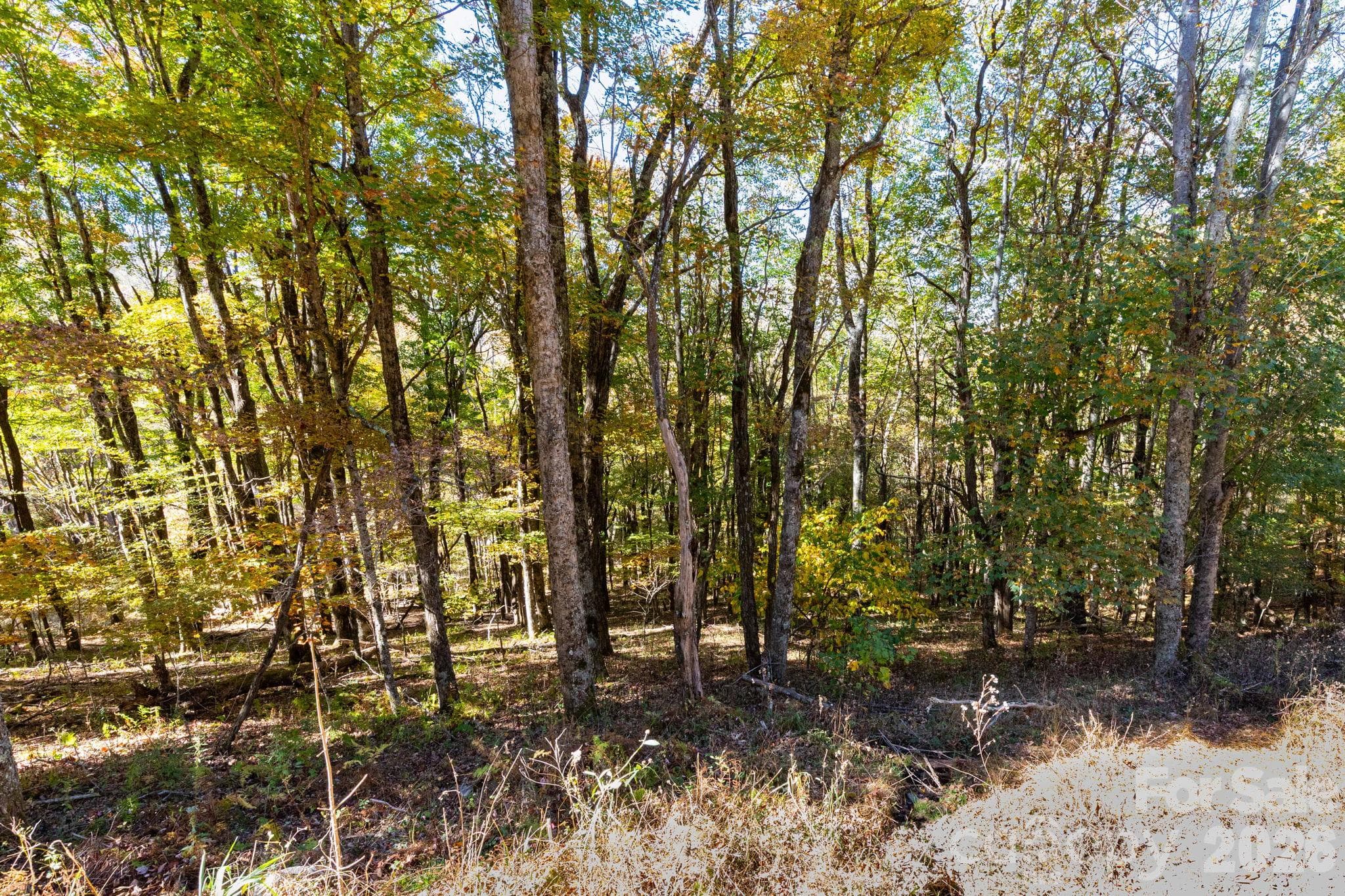 Lot at 000 El Miner Drive, Mars Hill, photo 4 of 24