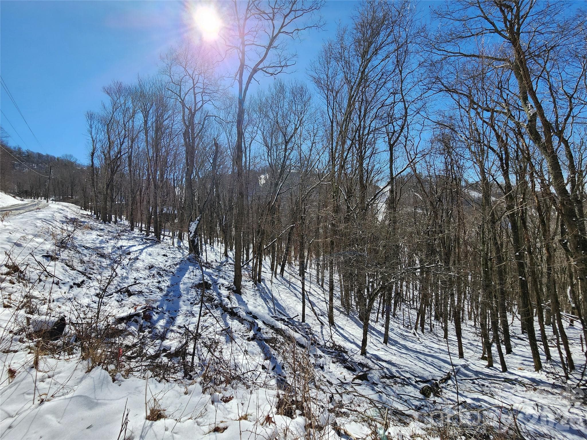 Winter Photo at Wolf Laurel - 000 El Miner Drive, Mars Hill