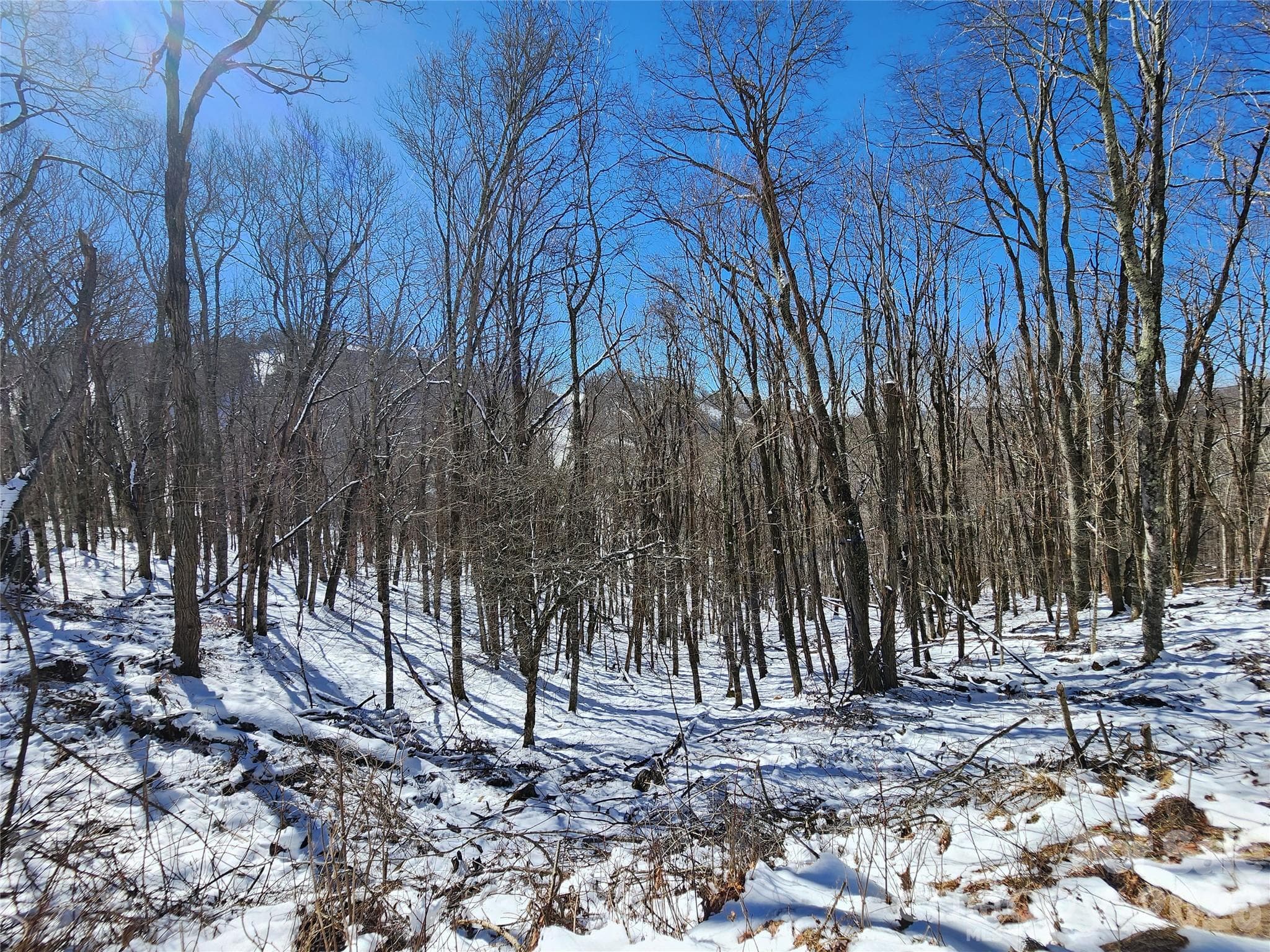 Winter Photo at Wolf Laurel - 000 El Miner Drive, Mars Hill