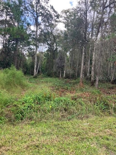 Land at 1881 HAZELNUT ST, BUNNELL, photo 2 of 5