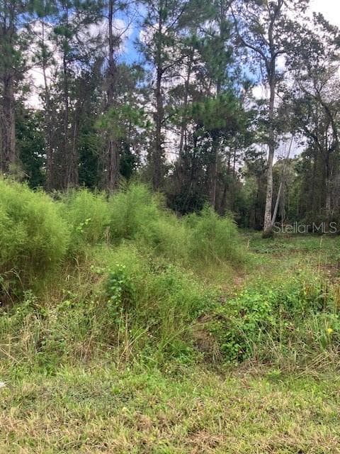 Land at 1881 HAZELNUT ST, BUNNELL, photo 3 of 5