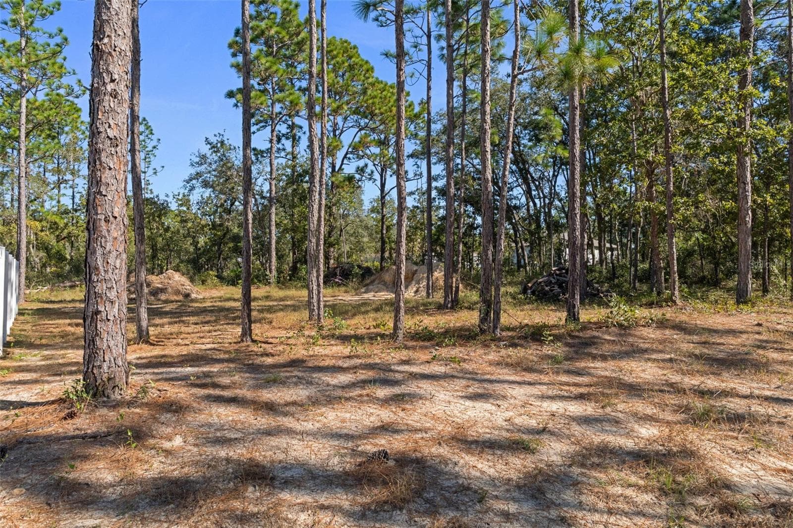 Single Family Residence at 16204 MALDEN RD, WEEKI WACHEE, photo 41 of 48